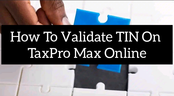 How To Validate TIN On TaxPro Max Online